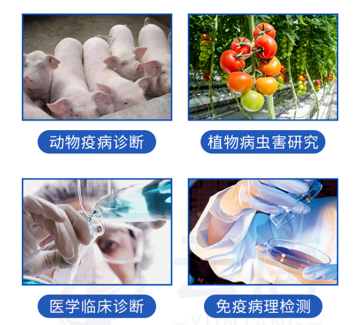 動物疫病檢測儀的檢測范圍有哪些？