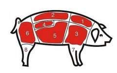 病害肉檢測儀讓老百姓吃上放心肉！