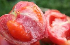 為何建議超市配備食品安全檢測(cè)儀？